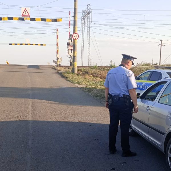 Activități ale polițiștilor din cadrul Serviciului Județean de Poliție Transporturi Călărași