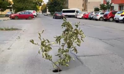 crater pe strada Borcea, Călărași