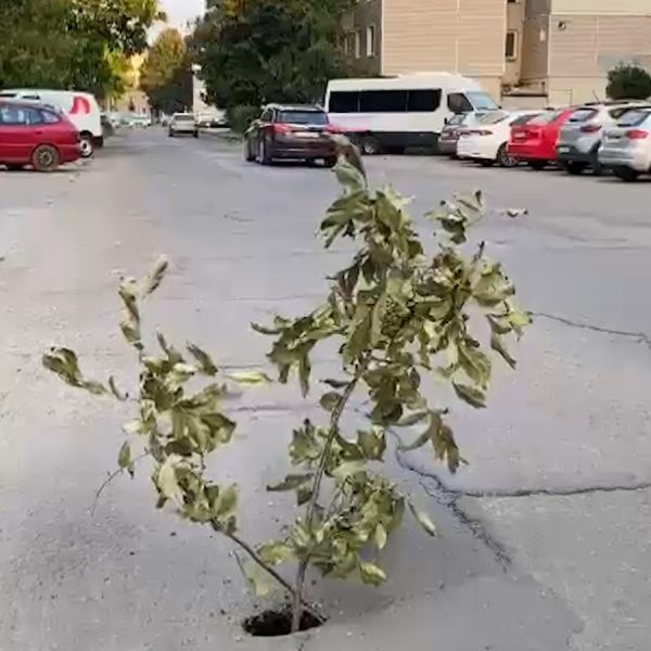 crater pe strada Borcea, Călărași