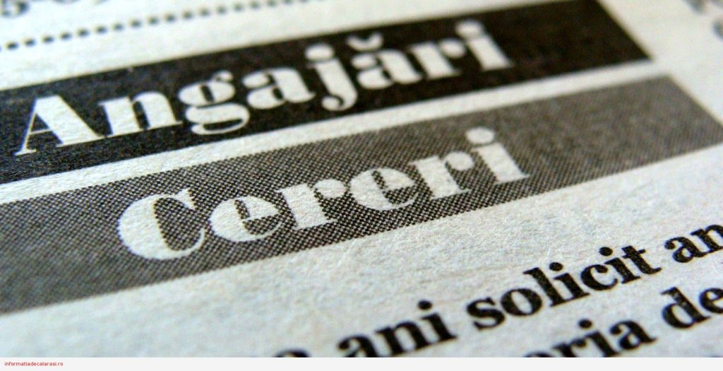 Zeci de locuri de muncă disponibile în Călărași: salarii de până la 5.000 de lei și angajări pe bandă rulantă