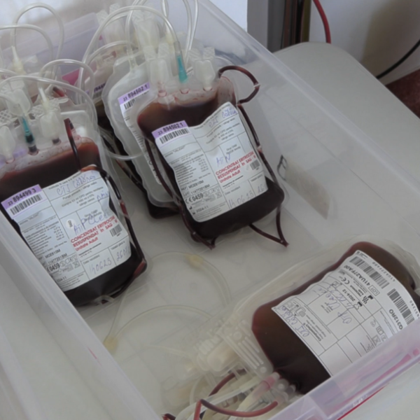 Donare de sange - Centru de Transfuzii Călărași