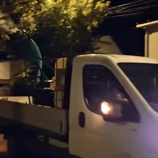 Primăria Municipiului Călărași intensifică eforturile împotriva insectelor