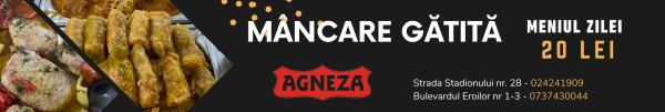 Agneza banner 2