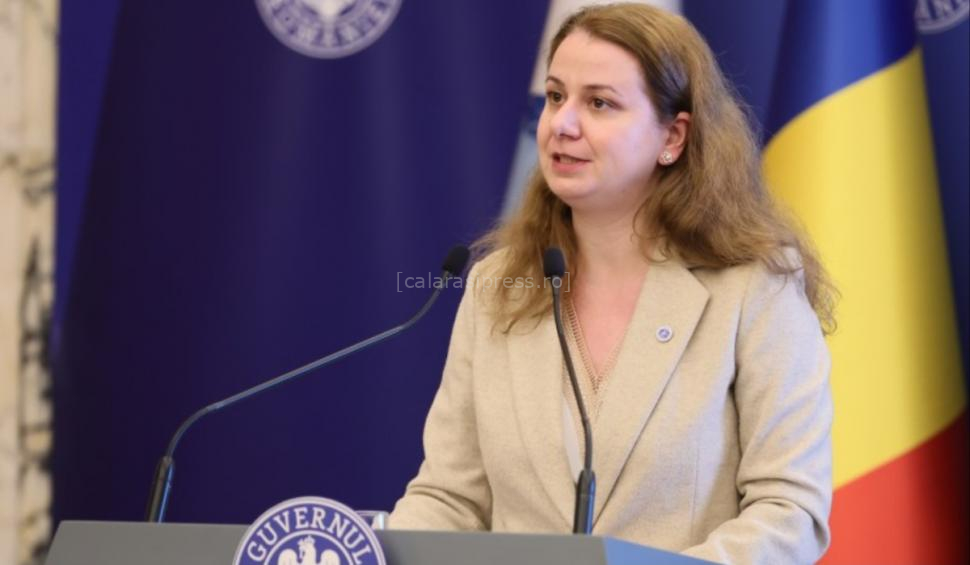 Ligia Deca, ministrul Educației / Sursa foto: Agerpres