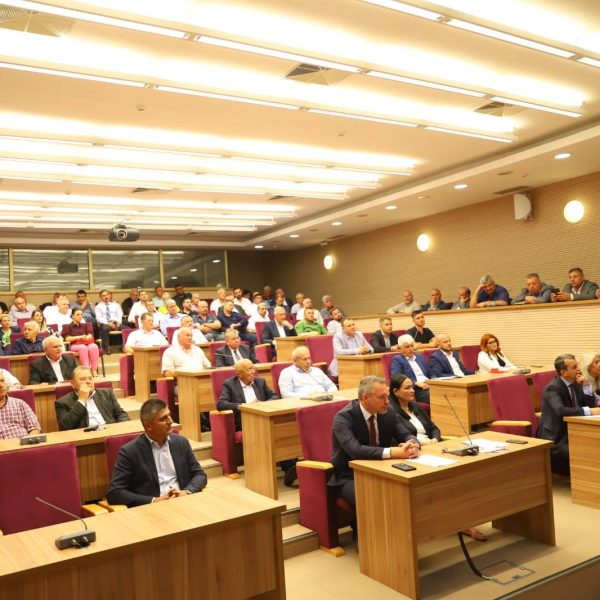 PSD Călărași a stabilit candidații pentru alegerile parlamentare: Daniela Mihai și Ion Samoilă deschid listele pentru Senat și Camera Deputaților