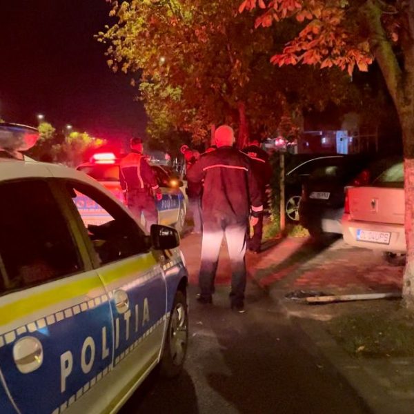 Călărași: un om al străzii încearcă să sustragă un indicator rutier dintr-un sens giratoriu