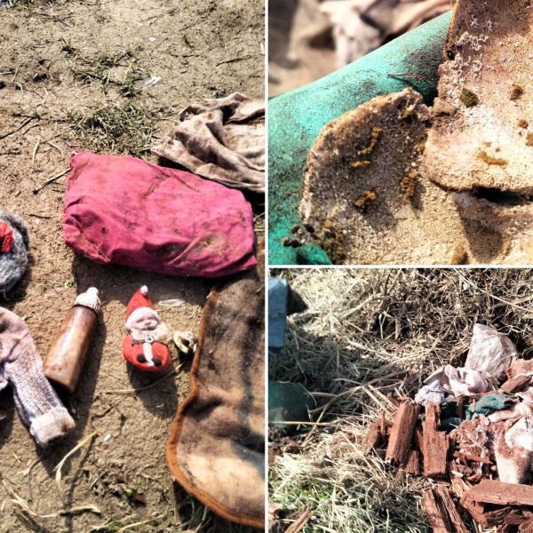 Caz șocant: Trupul unui copil, dezgropat și aruncat printre morminte