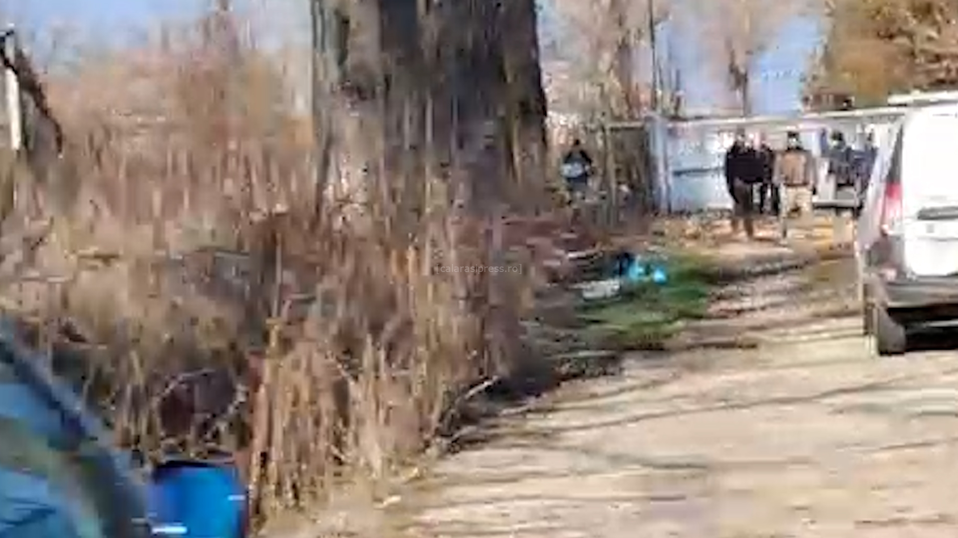 Tăieri ilegale și nepăsare criminală în Sohatu