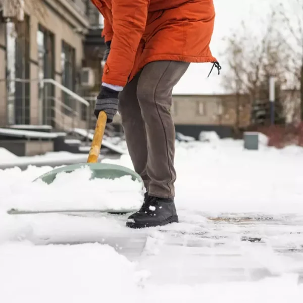 Sursa: libertatea.ro