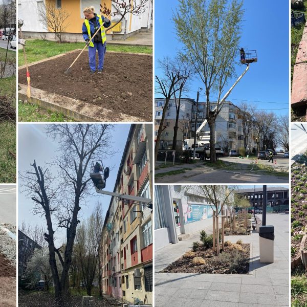 Se lucrează în Călărași: toaletări de arbori, plombări și amenajări de parcări