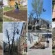 Se lucrează în Călărași: toaletări de arbori, plombări și amenajări de parcări