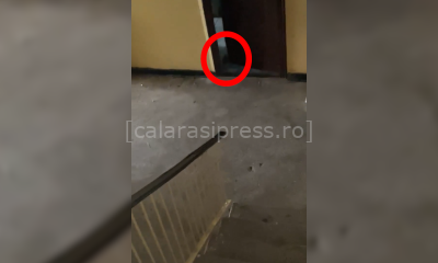 Abandonat într-un focar de infecție: Costel, un pensionar din Călărași, trăiește printre gunoaie și șobolani