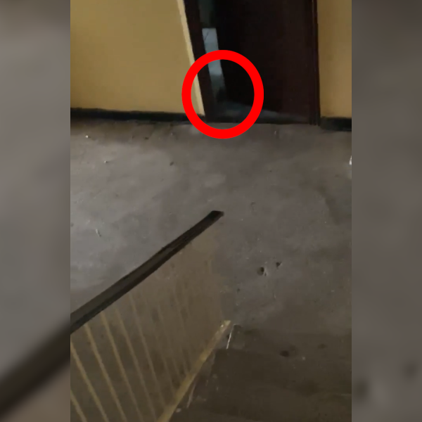 Abandonat într-un focar de infecție: Costel, un pensionar din Călărași, trăiește printre gunoaie și șobolani