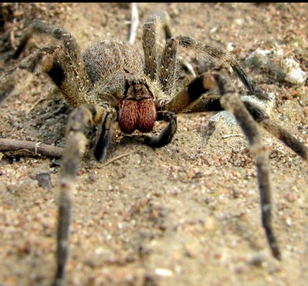 foto : Descoperă.ro