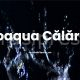 Ecoaqua anunță programul de citire a contoarelor de apă pentru luna februarie 2026, în municipiul Călărași