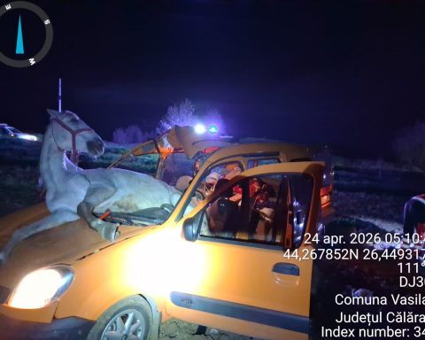 Accident grav într-o localitate din Călărași: un cal a ajuns în mașină după impact. Două persoane au fost răănite