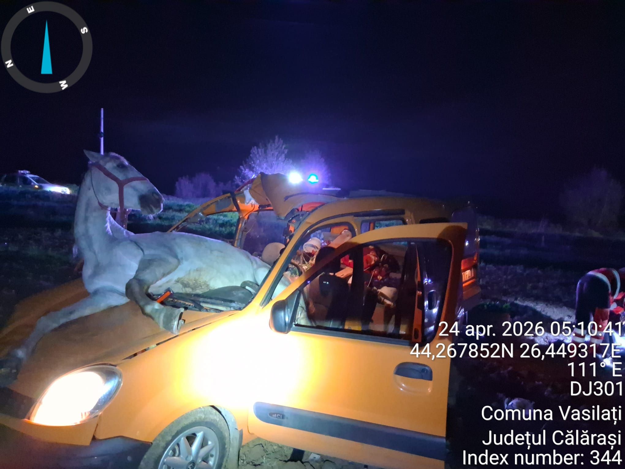 Accident grav într-o localitate din Călărași: un cal a ajuns în mașină după impact. Două persoane au fost răănite