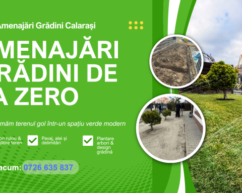 Cât costă amenajarea unei grădini în Călărași în 2026 și ce trebuie să știi înainte să începi