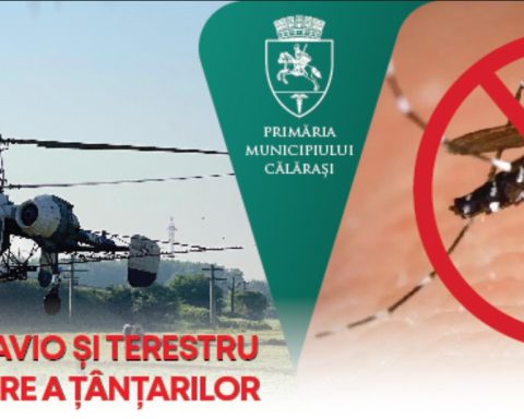 Campanie de dezinsecție în municipiul Călărași, între 4 și 8 mai: tratamente avio și terestre împotriva țânțarilor
