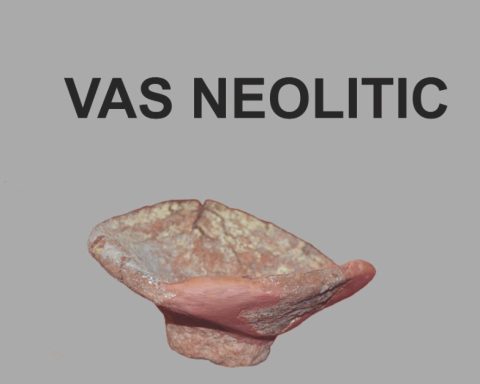 Exponat rar la Muzeul Dunării de Jos: un vas neolitic descoperit la Căscioarele, readus la viață după mii de ani