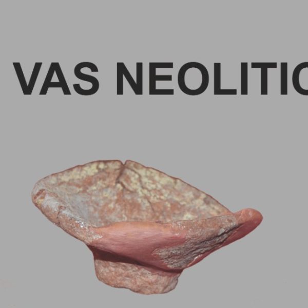 Exponat rar la Muzeul Dunării de Jos: un vas neolitic descoperit la Căscioarele, readus la viață după mii de ani