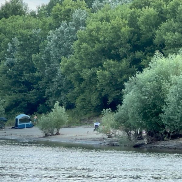 Plaja Tineretului trece în administrarea CJ Călărași. Autoritățile promit investiții și transformarea zonei într-un nou pol de agrement și turism