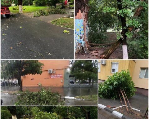 Furtună puternică la Oltenița. Copaci și crengi doborâte, străzi inundate după ploile torențiale