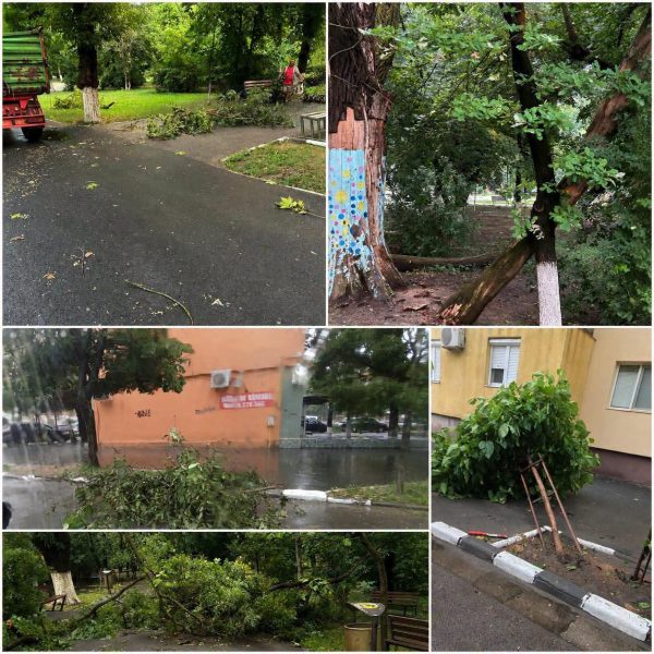 Furtună puternică la Oltenița. Copaci și crengi doborâte, străzi inundate după ploile torențiale